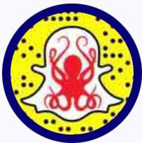 الاخطبوط الفضي - سوق الجادة