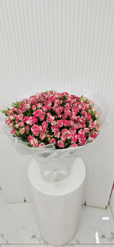 بوكيه بيبي دبل كلر