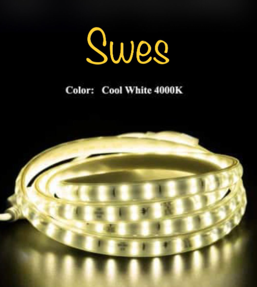 لي زينه (ليد مخفي)