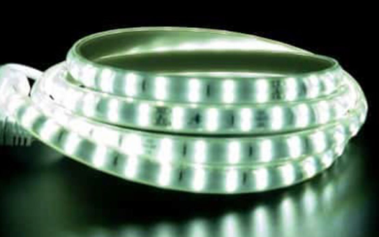 لي زينه (ستريب لايت)