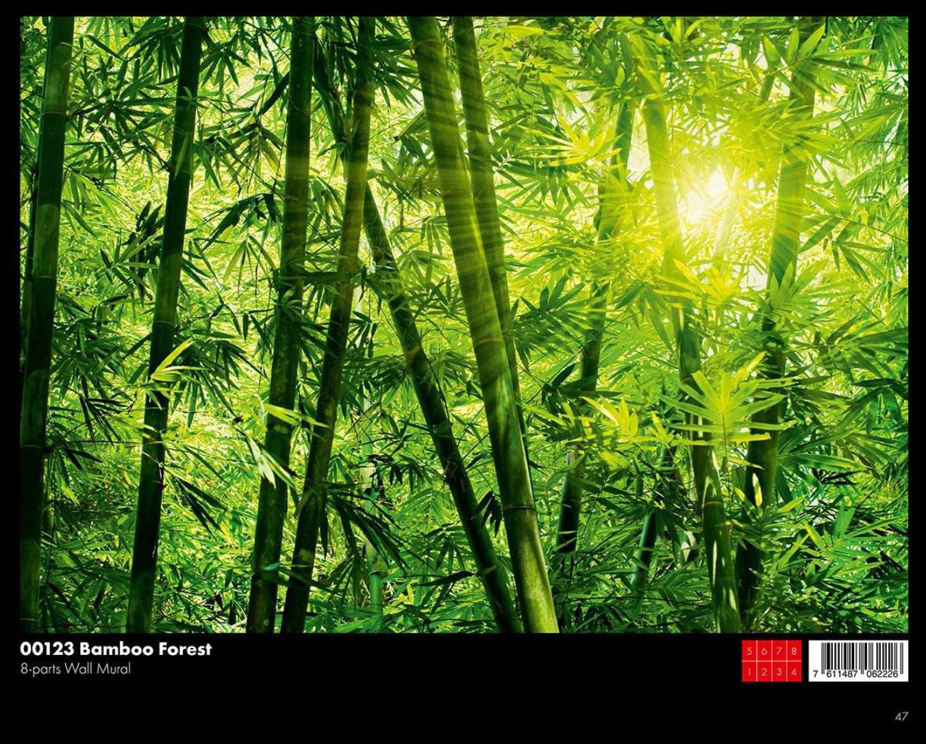 00123 Bamboo Forest