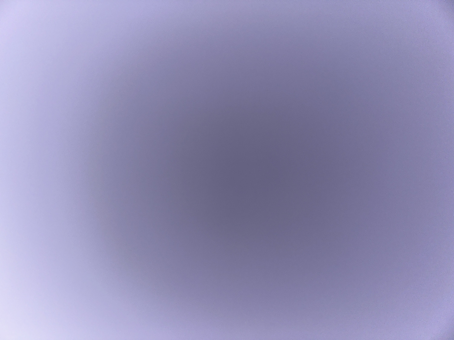 raheeb